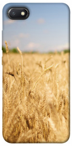 Чехол Поле пшеницы для Xiaomi Redmi 6A