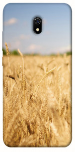 Чехол Поле пшеницы для Xiaomi Redmi 8a