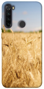 Чохол Поле пшениці для Xiaomi Redmi Note 8T