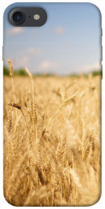 Чехол Поле пшеницы для iPhone 7 (4.7'')