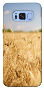 Чехол Поле пшеницы для Galaxy S8 (G950)