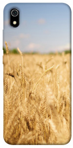Чехол Поле пшеницы для Xiaomi Redmi 7A