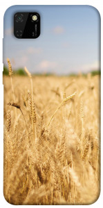 Чехол Поле пшеницы для Huawei Y5p