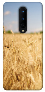 Чехол Поле пшеницы для OnePlus 8