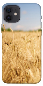 Чохол Поле пшениці для iPhone 12