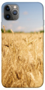 Чехол Поле пшеницы для iPhone 12 Pro