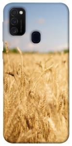 Чехол Поле пшеницы для Samsung Galaxy M21