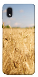 Чехол Поле пшеницы для Samsung Galaxy M01 Core