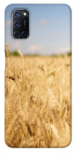 Чехол Поле пшеницы для Oppo A52