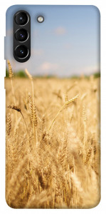 Чохол Поле пшениці для Galaxy S21+