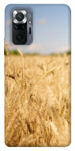 Чохол Поле пшениці для Xiaomi Redmi Note 10 Pro