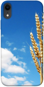 Чохол Пшениця для iPhone XR