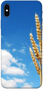 Чохол Пшениця для iPhone XS Max