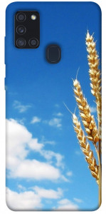 Чохол Пшениця для Galaxy A21s (2020)