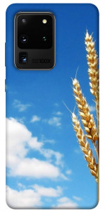 Чехол Пшеница для Galaxy S20 Ultra (2020)