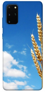Чехол Пшеница для Galaxy S20 Plus (2020)
