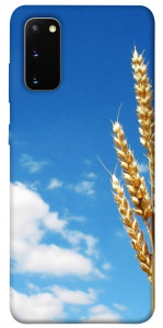 Чехол Пшеница для Galaxy S20 (2020)