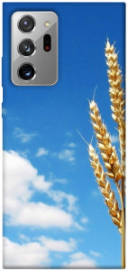 Чехол Пшеница для Galaxy Note 20 Ultra