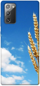 Чохол Пшениця для Galaxy Note 20