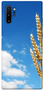Чохол Пшениця для Galaxy Note 10+ (2019)