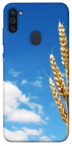 Чехол Пшеница для Galaxy M11 (2020)