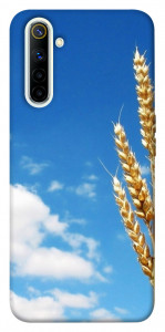 Чехол Пшеница для Realme 6