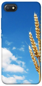 Чехол Пшеница для Xiaomi Redmi 6A