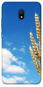 Чехол Пшеница для Xiaomi Redmi 8a