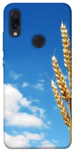 Чехол Пшеница для Xiaomi Redmi Note 7