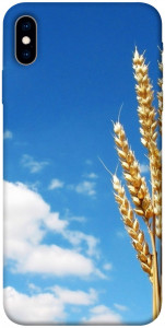 Чохол Пшениця для iPhone XS