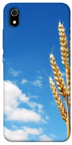 Чехол Пшеница для Xiaomi Redmi 7A