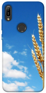 Чехол Пшеница для Huawei Y6 (2019)