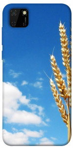 Чехол Пшеница для Huawei Y5p