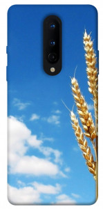 Чехол Пшеница для OnePlus 8