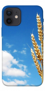 Чохол Пшениця для iPhone 12 mini