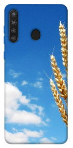 Чехол Пшеница для Galaxy A21