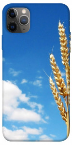 Чехол Пшеница для iPhone 12 Pro