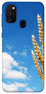 Чехол Пшеница для Samsung Galaxy M30s