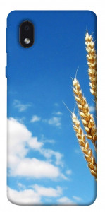 Чехол Пшеница для Samsung Galaxy M01 Core