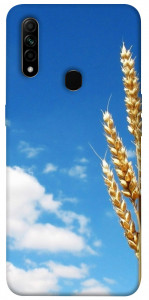 Чохол Пшениця для Oppo A31