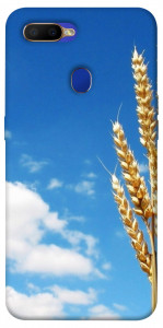Чехол Пшеница для Oppo A5s