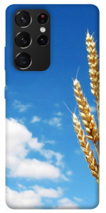 Чехол Пшеница для Galaxy S21 Ultra