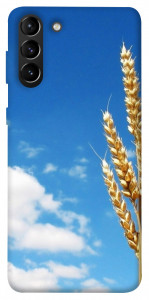 Чохол Пшениця для Galaxy S21+