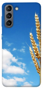 Чехол Пшеница для Galaxy S21