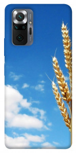 Чехол Пшеница для Xiaomi Redmi Note 10 Pro