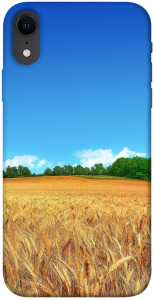 Чехол Пшеничное поле для iPhone XR