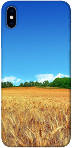 Чехол Пшеничное поле для iPhone XS Max