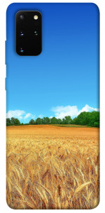 Чехол Пшеничное поле для Galaxy S20 Plus (2020)