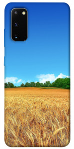 Чехол Пшеничное поле для Galaxy S20 (2020)