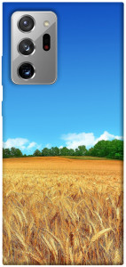 Чехол Пшеничное поле для Galaxy Note 20 Ultra